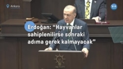 Erdoğan: “Hayvanlar sahiplenilirse sonraki adıma gerek kalmayacak” 