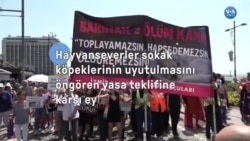 Hayvanseverler sokak hayvanlarının uyutulması tartışmasına karşı eylemde